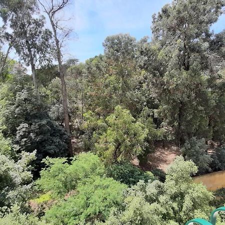 Forest View Lisboa Kültér fotó